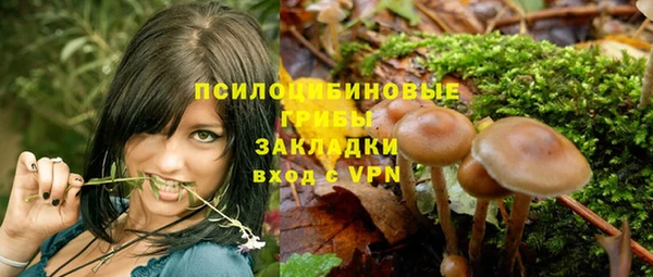 дмт Покровск