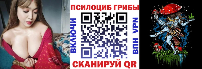 Псилоцибиновые грибы Psilocybe  купить наркотик  omg ссылки  Барнаул 