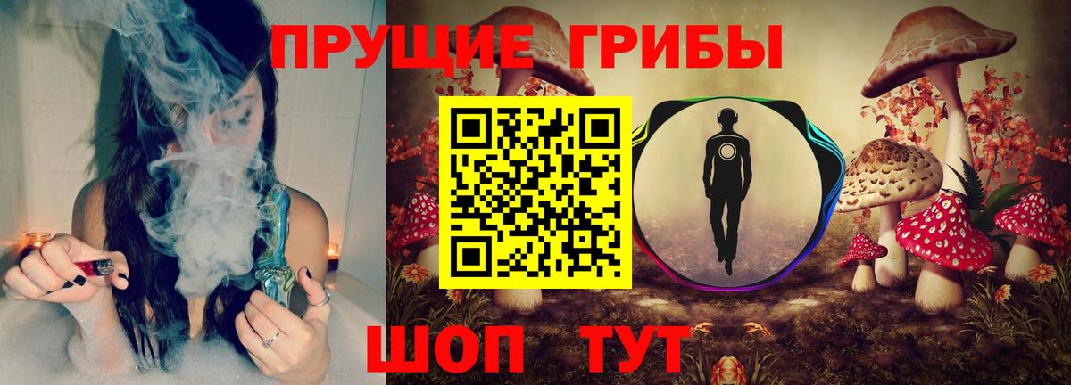 Псилоцибиновые грибы мицелий Барнаул